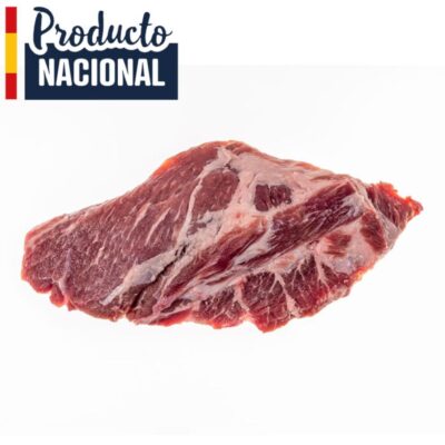 Presa Ibérica San Pascual