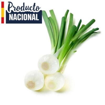Cebolleta