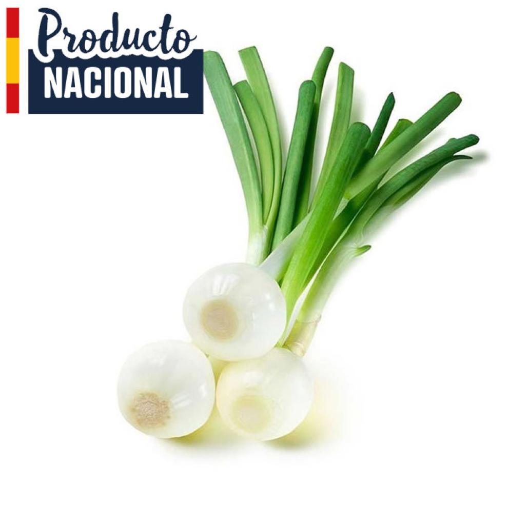 Cebolleta