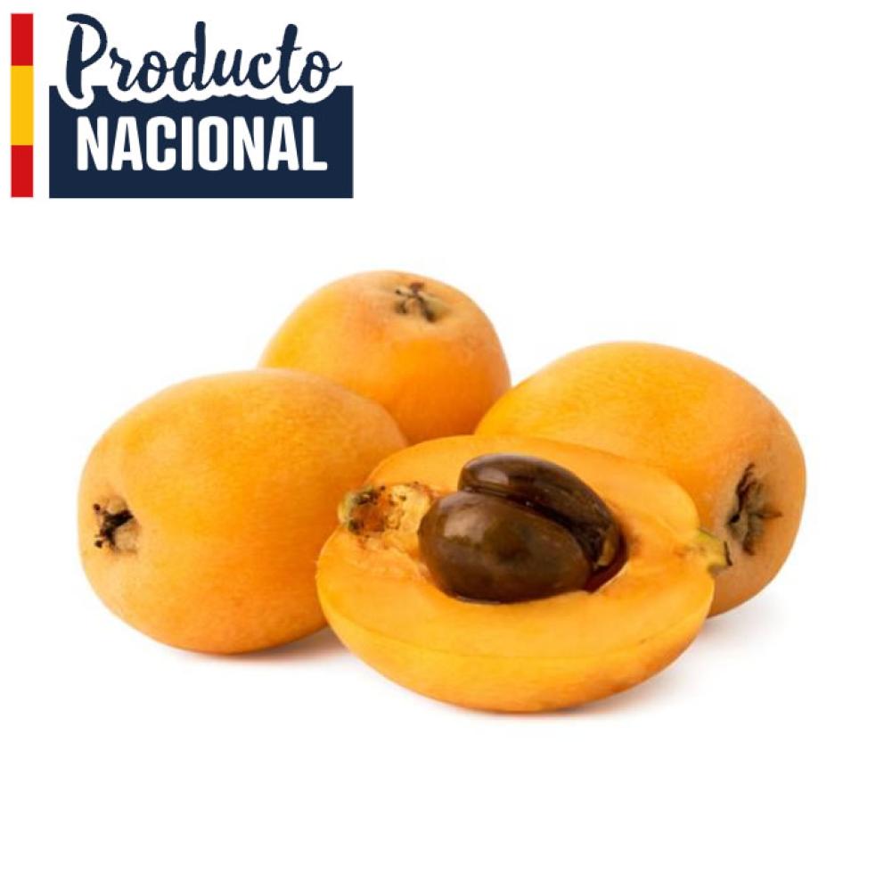 Nisporas