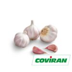 Malla de Dientes de Ajo 250g Coviran.
