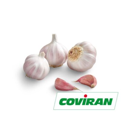 Malla de Dientes de Ajo 250g Coviran.