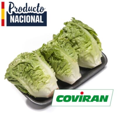 Cogollos de lechuga COVIRAN bandeja 3 und.