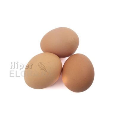 Media Docena Huevos